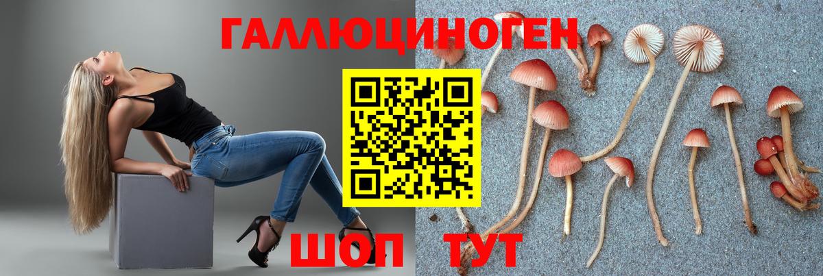 Псилоцибиновые грибы GOLDEN TEACHER Севастополь