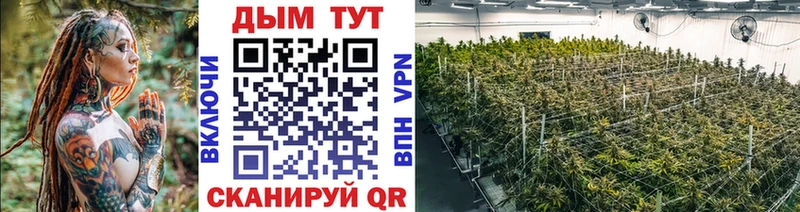 магазин продажи наркотиков  Севастополь  blacksprut ONION  Канабис план 